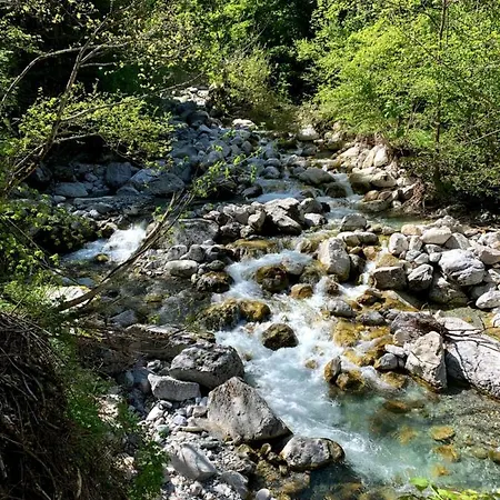 La Dacia In Langa * Briaglia